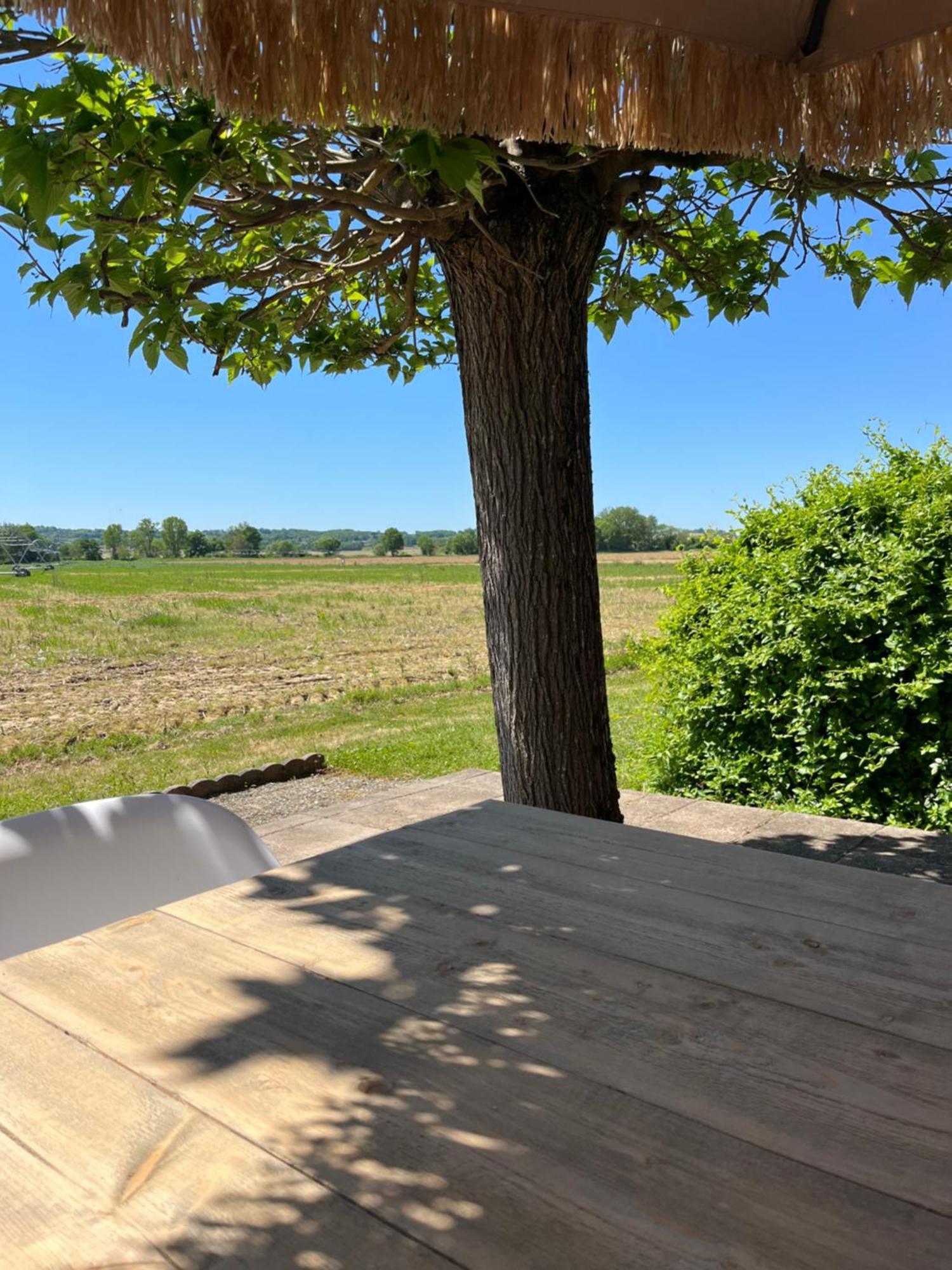 Gite 1, Domaine Logis Gascogne Saint-Justin  Exteriör bild